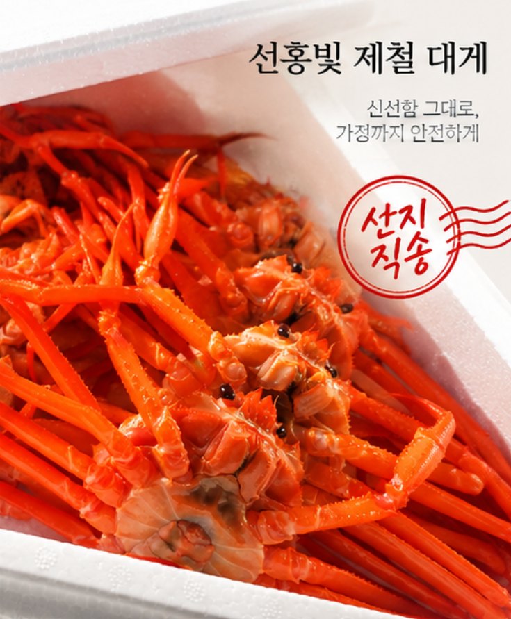 정품연지홍게 프리미엄급 다리수율 80%이상 포항 구룡포 대게 2